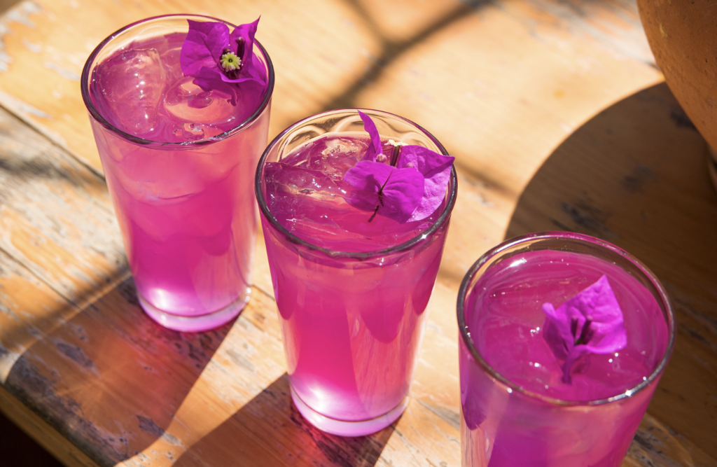 La Pasión por la Cultura: cómo las bebidas de Oaxaca conquistan el mundo con su sabor y esencia ancestral.