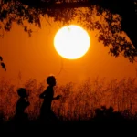 La esperanza de vida en EU alcanzó su máximo histórico en 2024